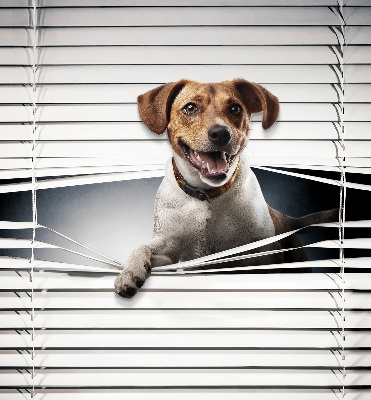 Store intérieur Chien