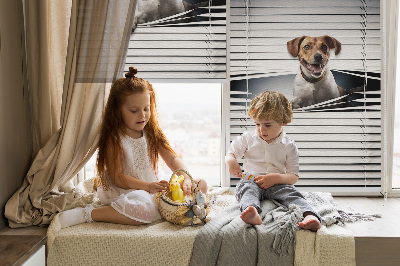 Store intérieur Chien