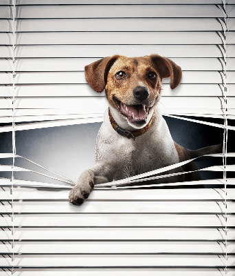 Store intérieur Chien