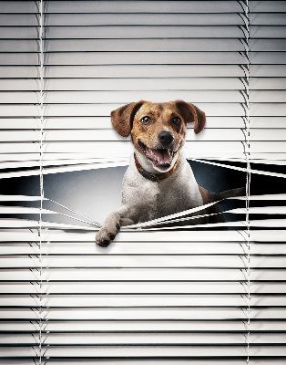 Store intérieur Chien