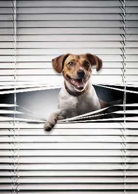 Store intérieur Chien