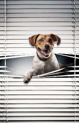 Store intérieur Chien