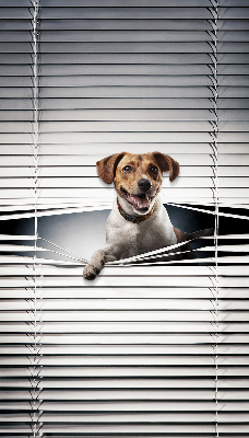 Store intérieur Chien