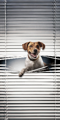 Store intérieur Chien