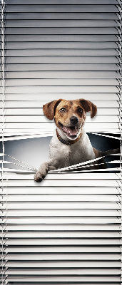 Store intérieur Chien