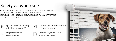 Store intérieur Chien