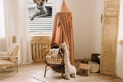 Store intérieur Chien