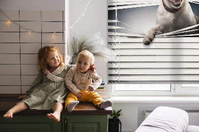 Store intérieur Chien