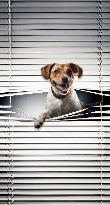 Store intérieur Chien