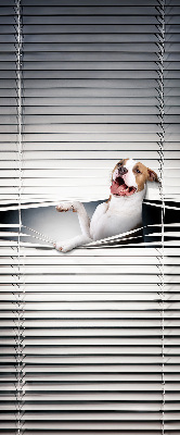 Store enrouleur Chien