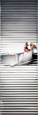 Store enrouleur Chien