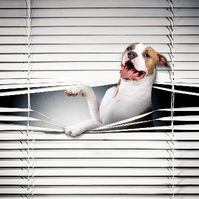 Store enrouleur Chien