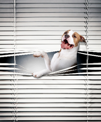 Store enrouleur Chien