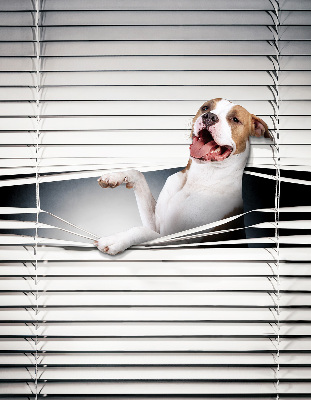 Store enrouleur Chien