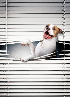 Store enrouleur Chien