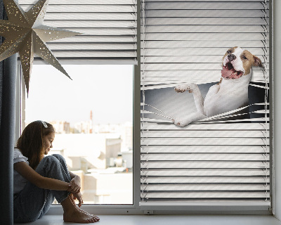 Store enrouleur Chien