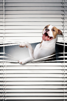 Store enrouleur Chien