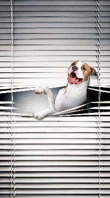 Store enrouleur Chien