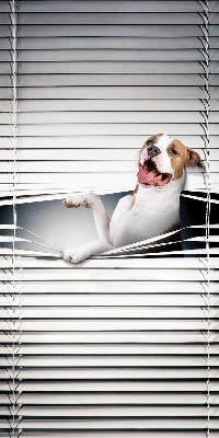 Store enrouleur Chien