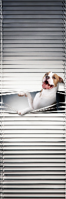 Store enrouleur Chien