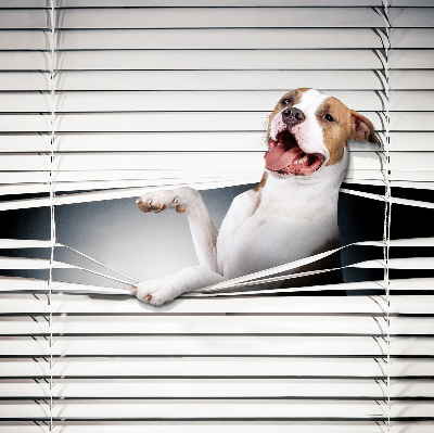 Store enrouleur Chien