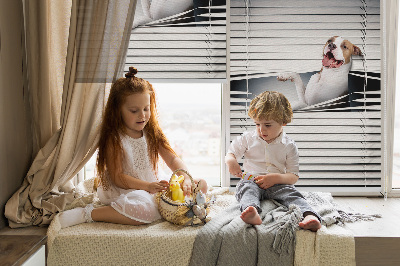 Store enrouleur Chien