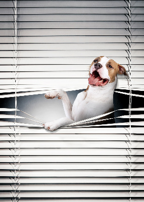 Store enrouleur Chien