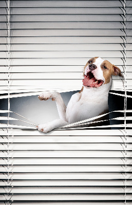 Store enrouleur Chien