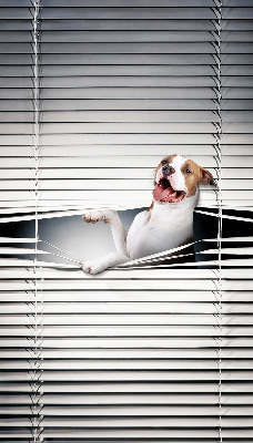 Store enrouleur Chien