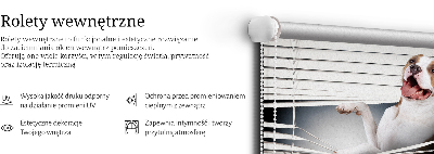 Store enrouleur Chien