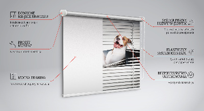 Store enrouleur Chien