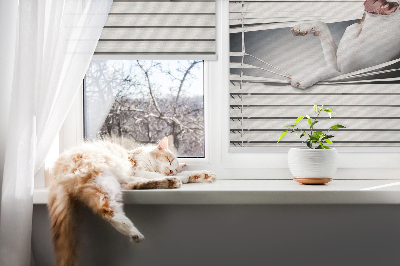 Store enrouleur Chien