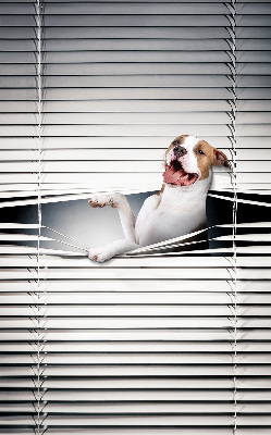 Store enrouleur Chien