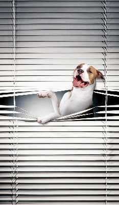 Store enrouleur Chien