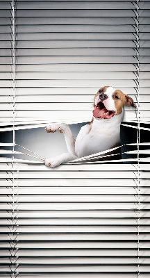 Store enrouleur Chien