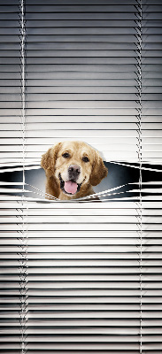 Store intérieur Chien d'or