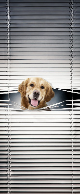 Store intérieur Chien d'or