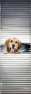 Store intérieur Chien d'or