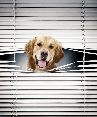 Store intérieur Chien d'or