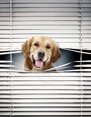 Store intérieur Chien d'or