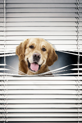 Store intérieur Chien d'or