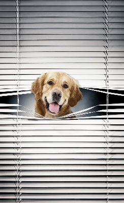 Store intérieur Chien d'or