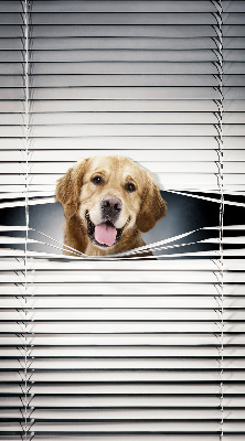 Store intérieur Chien d'or