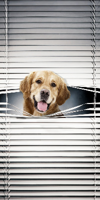 Store intérieur Chien d'or