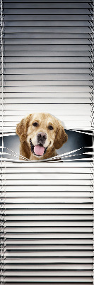 Store intérieur Chien d'or