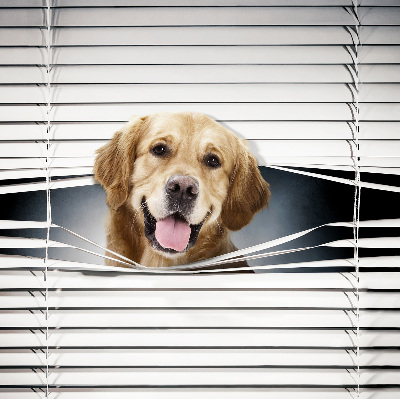 Store intérieur Chien d'or