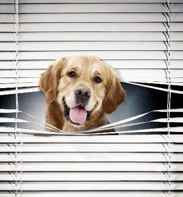 Store intérieur Chien d'or