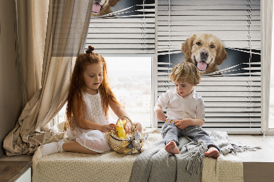Store intérieur Chien d'or