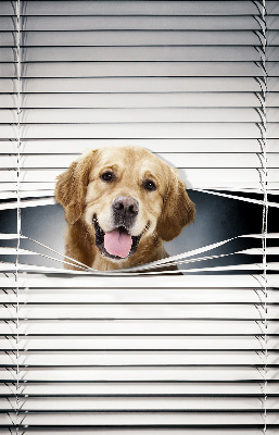 Store intérieur Chien d'or