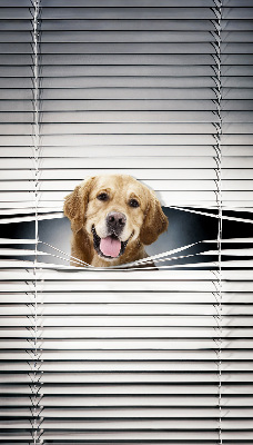 Store intérieur Chien d'or